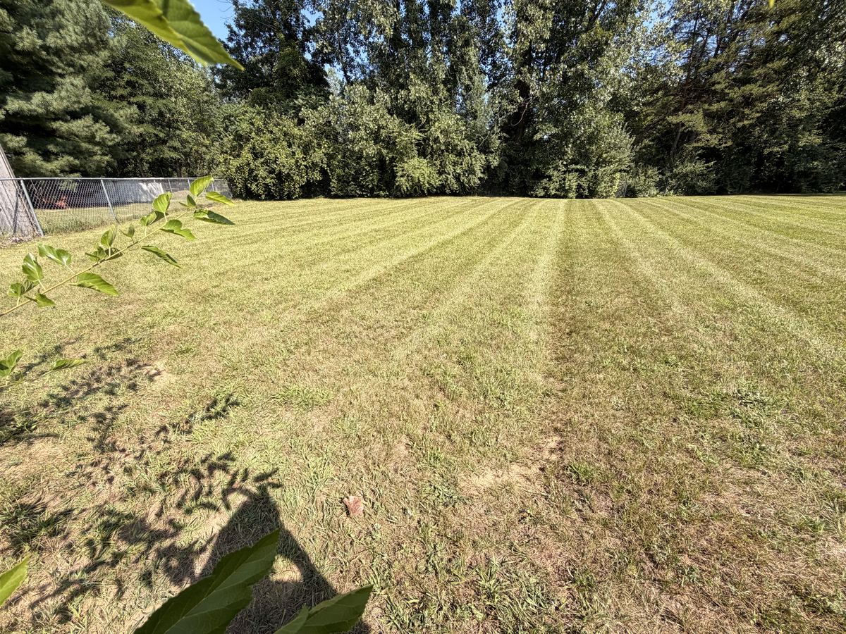 Thick green striped lawn after Covenant lawn care service