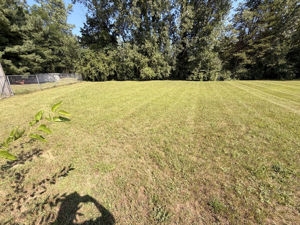 Patchy, dry lawn before Covenant lawn care service