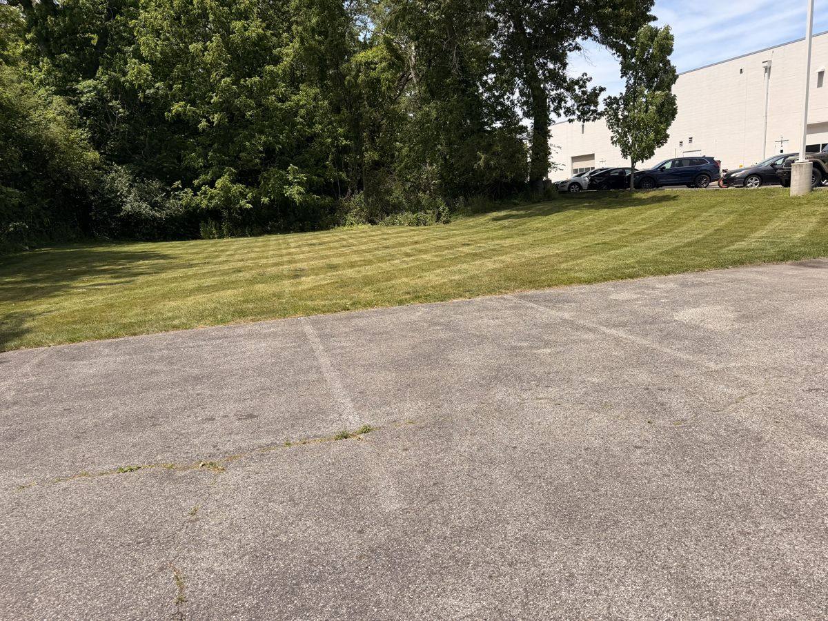 Patchy, dry lawn before Covenant lawn care service