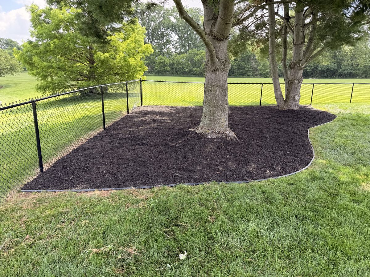 Clean, freshly mulched tree bed with crisp edging after Covenant landscape installation
