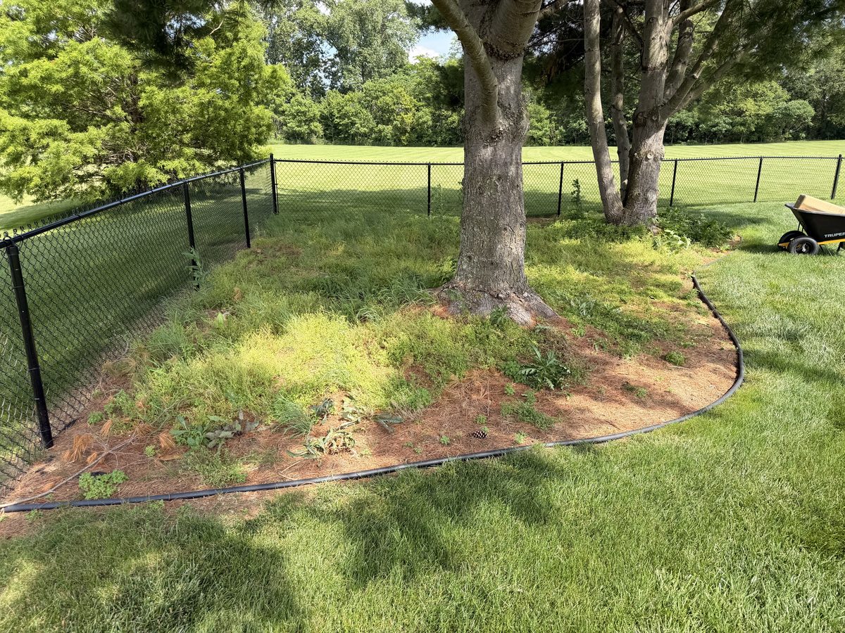 Overgrown, weedy tree bed before Covenant landscape installation